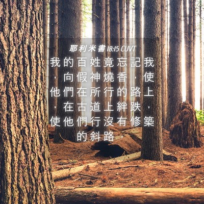 Picture 04 - 耶 利 米 書 18:15 CUVT - 我 的 百 姓 竟 忘 記 我 ， 向 假 神 - Bible Verse Picture