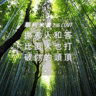 Picture 04 - 耶 利 米 書 2:16 CUVT - 挪 弗 人 和 答 比 匿 人 也 打 破 你 - Bible Verse Picture