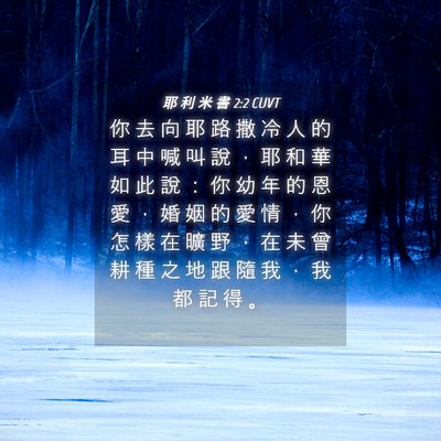 Picture 04 - 耶 利 米 書 2:2 CUVT - 你 去 向 耶 路 撒 冷 人 的 耳 中 喊 - Bible Verse Picture