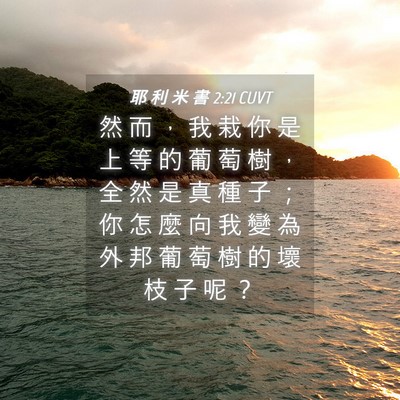 Picture 04 - 耶 利 米 書 2:21 CUVT - 然 而 ， 我 栽 你 是 上 等 的 葡 萄 - Bible Verse Picture