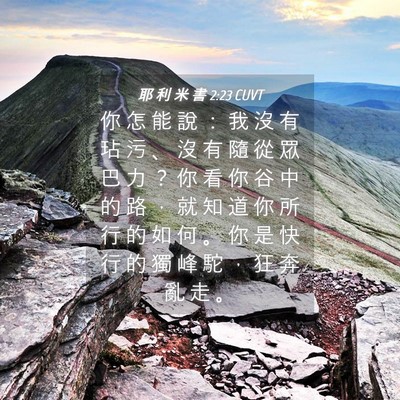 Picture 04 - 耶 利 米 書 2:23 CUVT - 你 怎 能 說 ： 我 沒 有 玷 污 、 沒 - Bible Verse Picture