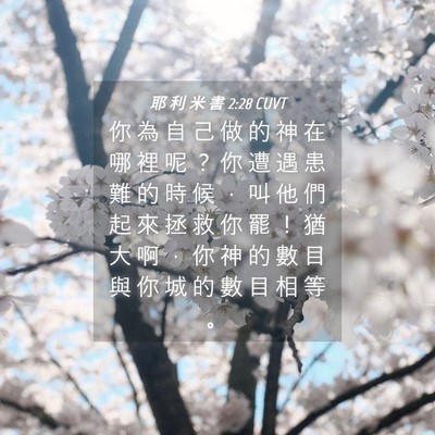 Picture 04 - 耶 利 米 書 2:28 CUVT - 你 為 自 己 做 的 神 在 哪 裡 呢 ？ - Bible Verse Picture