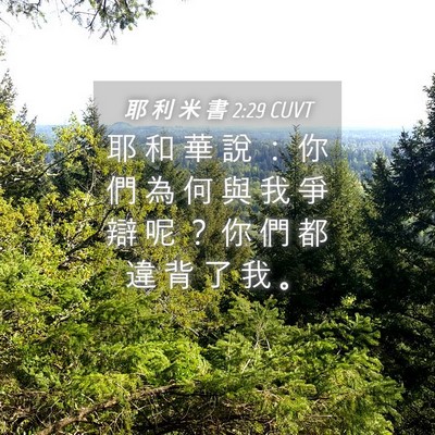 Picture 04 - 耶 利 米 書 2:29 CUVT - 耶 和 華 說 ： 你 們 為 何 與 我 爭 - Bible Verse Picture