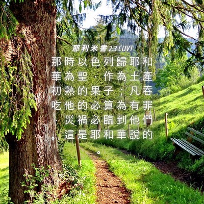 Picture 04 - 耶 利 米 書 2:3 CUVT - 那 時 以 色 列 歸 耶 和 華 為 聖 ， - Bible Verse Picture