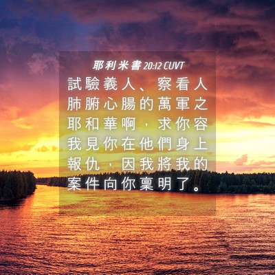 Picture 04 - 耶 利 米 書 20:12 CUVT - 試 驗 義 人 、 察 看 人 肺 腑 心 腸 - Bible Verse Picture
