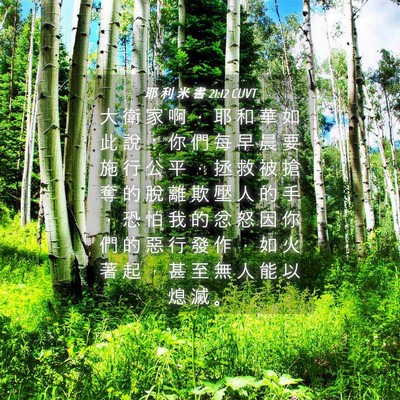 Picture 04 - 耶 利 米 書 21:12 CUVT - 大 衛 家 啊 ， 耶 和 華 如 此 說 ： - Bible Verse Picture