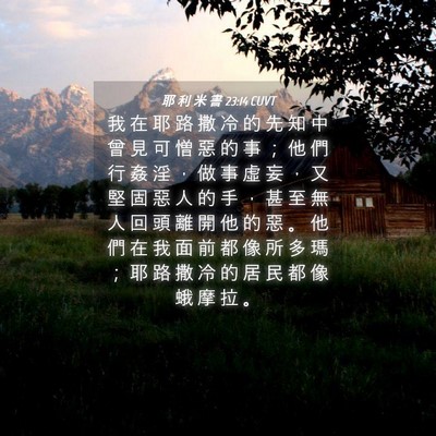 Picture 04 - 耶 利 米 書 23:14 CUVT - 我 在 耶 路 撒 冷 的 先 知 中 曾 見 - Bible Verse Picture