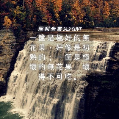 Picture 04 - 耶 利 米 書 24:2 CUVT - 一 筐 是 極 好 的 無 花 果 ， 好 像 - Bible Verse Picture
