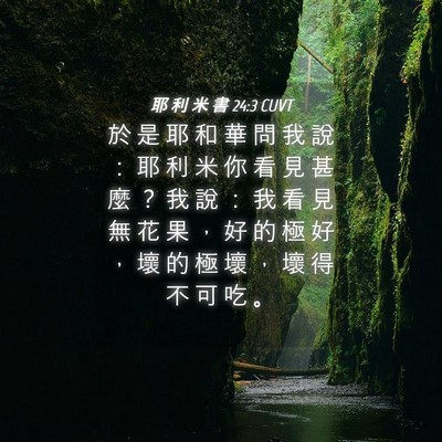 Picture 04 - 耶 利 米 書 24:3 CUVT - 於 是 耶 和 華 問 我 說 ： 耶 利 米 - Bible Verse Picture