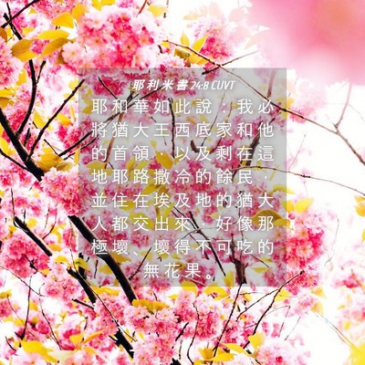 Picture 04 - 耶 利 米 書 24:8 CUVT - 耶 和 華 如 此 說 ： 我 必 將 猶 大 - Bible Verse Picture