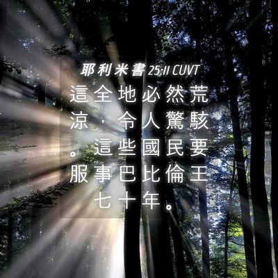 Picture 04 - 耶 利 米 書 25:11 CUVT - 這 全 地 必 然 荒 涼 ， 令 人 驚 駭 - Bible Verse Picture