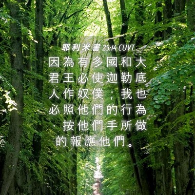 Picture 04 - 耶 利 米 書 25:14 CUVT - 因 為 有 多 國 和 大 君 王 必 使 迦 - Bible Verse Picture