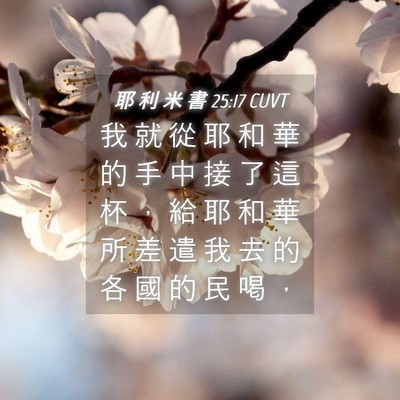 Picture 04 - 耶 利 米 書 25:17 CUVT - 我 就 從 耶 和 華 的 手 中 接 了 這 - Bible Verse Picture