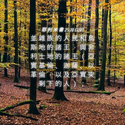 Picture 04 - 耶 利 米 書 25:20 CUVT - 並 雜 族 的 人 民 和 烏 斯 地 的 諸 - Bible Verse Picture