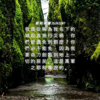 Picture 04 - 耶 利 米 書 25:29 CUVT - 我 既 從 稱 為 我 名 下 的 城 起 首 - Bible Verse Picture