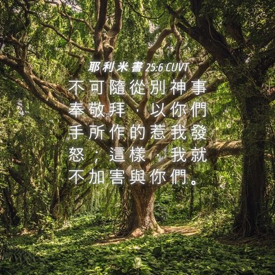 Picture 04 - 耶 利 米 書 25:6 CUVT - 不 可 隨 從 別 神 事 奉 敬 拜 ， 以 - Bible Verse Picture