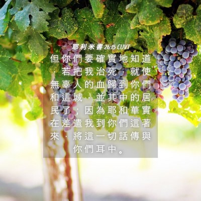 Picture 04 - 耶 利 米 書 26:15 CUVT - 但 你 們 要 確 實 地 知 道 ， 若 把 - Bible Verse Picture