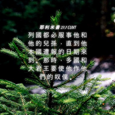 Picture 04 - 耶 利 米 書 27:7 CUVT - 列 國 都 必 服 事 他 和 他 的 兒 孫 - Bible Verse Picture