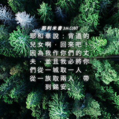 Picture 04 - 耶 利 米 書 3:14 CUVT - 耶 和 華 說 ： 背 道 的 兒 女 啊 ， - Bible Verse Picture