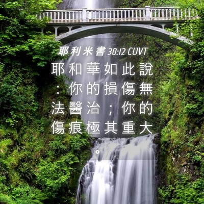 Picture 04 - 耶 利 米 書 30:12 CUVT - 耶 和 華 如 此 說 ： 你 的 損 傷 無 - Bible Verse Picture