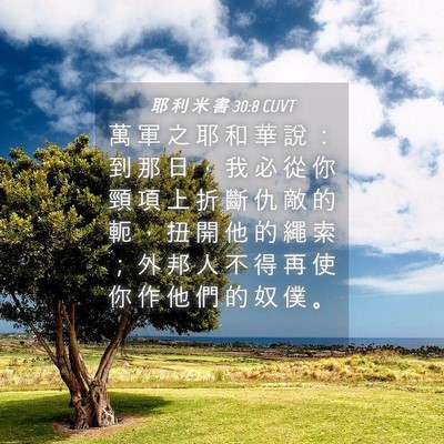 Picture 04 - 耶 利 米 書 30:8 CUVT - 萬 軍 之 耶 和 華 說 ： 到 那 日 ， - Bible Verse Picture