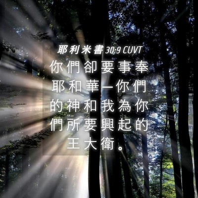 Picture 04 - 耶 利 米 書 30:9 CUVT - 你 們 卻 要 事 奉 耶 和 華 ─ 你 們 - Bible Verse Picture