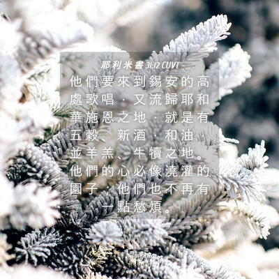 Picture 04 - 耶 利 米 書 31:12 CUVT - 他 們 要 來 到 錫 安 的 高 處 歌 唱 - Bible Verse Picture