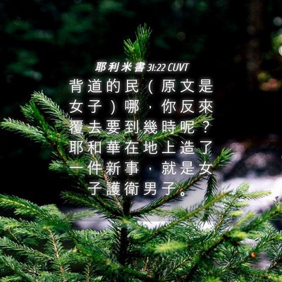 Picture 04 - 耶 利 米 書 31:22 CUVT - 背 道 的 民 （ 原 文 是 女 子 ） 哪 - Bible Verse Picture
