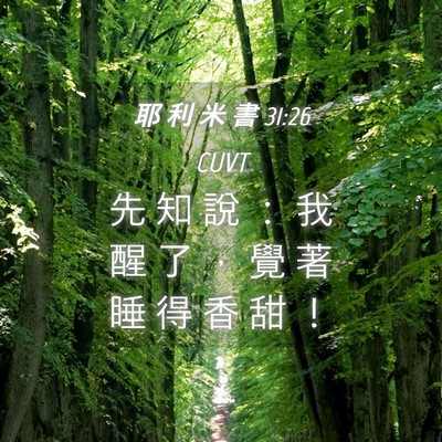Picture 04 - 耶 利 米 書 31:26 CUVT - 先 知 說 ： 我 醒 了 ， 覺 著 睡 得 - Bible Verse Picture