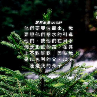 Picture 04 - 耶 利 米 書 31:9 CUVT - 他 們 要 哭 泣 而 來 。 我 要 照 他 - Bible Verse Picture