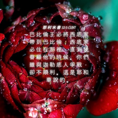 Picture 04 - 耶 利 米 書 32:5 CUVT - 巴 比 倫 王 必 將 西 底 家 帶 到 巴 - Bible Verse Picture