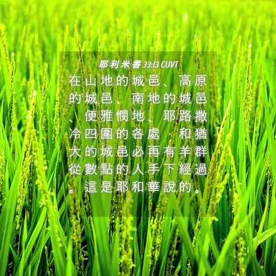 Picture 04 - 耶 利 米 書 33:13 CUVT - 在 山 地 的 城 邑 、 高 原 的 城 邑 - Bible Verse Picture