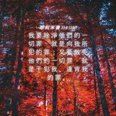 Picture 04 - 耶 利 米 書 33:8 CUVT - 我 要 除 淨 他 們 的 一 切 罪 ， 就 - Bible Verse Picture