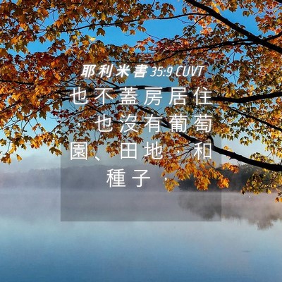 Picture 04 - 耶 利 米 書 35:9 CUVT - 也 不 蓋 房 居 住 ， 也 沒 有 葡 萄 - Bible Verse Picture