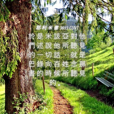 Picture 04 - 耶 利 米 書 36:13 CUVT - 於 是 米 該 亞 對 他 們 述 說 他 所 - Bible Verse Picture
