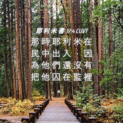 Picture 04 - 耶 利 米 書 37:4 CUVT - 那 時 耶 利 米 在 民 中 出 入 ， 因 - Bible Verse Picture