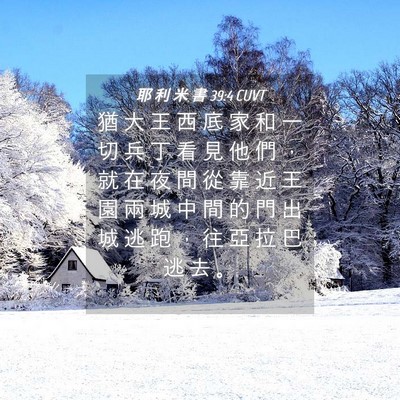 Picture 04 - 耶 利 米 書 39:4 CUVT - 猶 大 王 西 底 家 和 一 切 兵 丁 看 - Bible Verse Picture