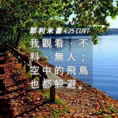 Picture 04 - 耶 利 米 書 4:25 CUVT - 我 觀 看 ， 不 料 ， 無 人 ； 空 中 - Bible Verse Picture
