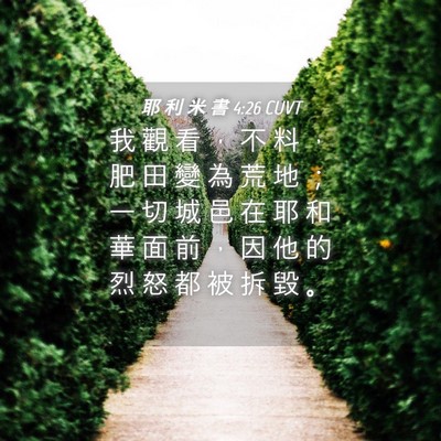 Picture 04 - 耶 利 米 書 4:26 CUVT - 我 觀 看 ， 不 料 ， 肥 田 變 為 荒 - Bible Verse Picture