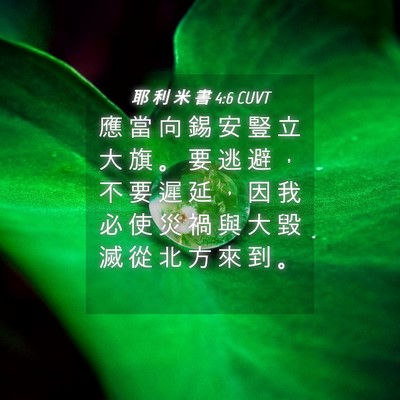 Picture 04 - 耶 利 米 書 4:6 CUVT - 應 當 向 錫 安 豎 立 大 旗 。 要 逃 - Bible Verse Picture