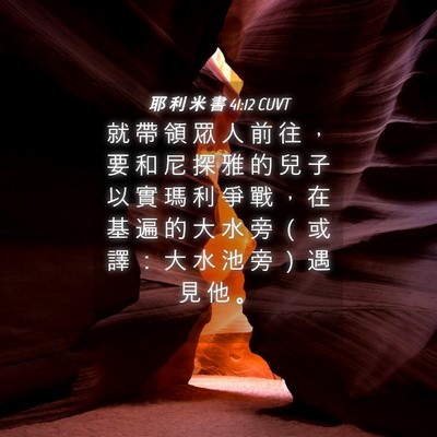 Picture 04 - 耶 利 米 書 41:12 CUVT - 就 帶 領 眾 人 前 往 ， 要 和 尼 探 - Bible Verse Picture