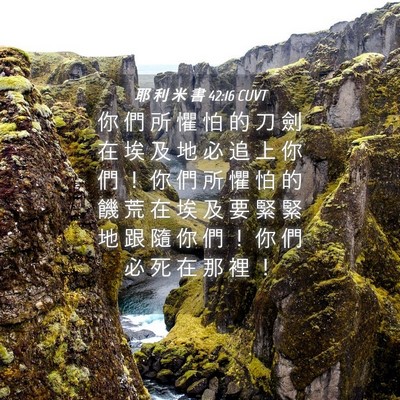 Picture 04 - 耶 利 米 書 42:16 CUVT - 你 們 所 懼 怕 的 刀 劍 在 埃 及 地 - Bible Verse Picture