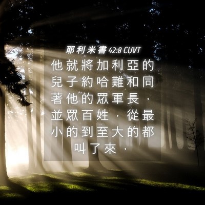 Picture 04 - 耶 利 米 書 42:8 CUVT - 他 就 將 加 利 亞 的 兒 子 約 哈 難 - Bible Verse Picture