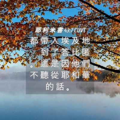 Picture 04 - 耶 利 米 書 43:7 CUVT - 都 帶 入 埃 及 地 ， 到 了 答 比 匿 - Bible Verse Picture