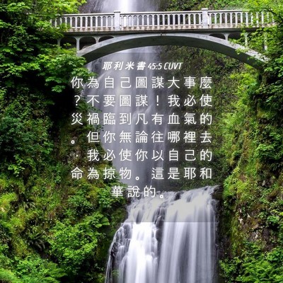 Picture 04 - 耶 利 米 書 45:5 CUVT - 你 為 自 己 圖 謀 大 事 麼 ？ 不 要 - Bible Verse Picture