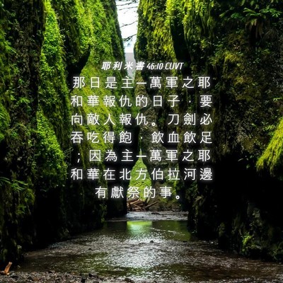 Picture 04 - 耶 利 米 書 46:10 CUVT - 那 日 是 主 ─ 萬 軍 之 耶 和 華 報 - Bible Verse Picture