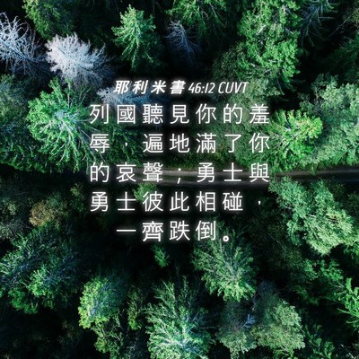 Picture 04 - 耶 利 米 書 46:12 CUVT - 列 國 聽 見 你 的 羞 辱 ， 遍 地 滿 - Bible Verse Picture