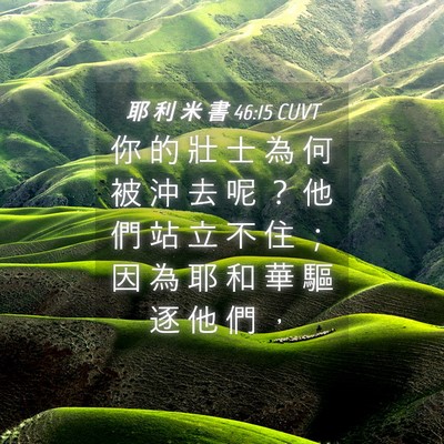 Picture 04 - 耶 利 米 書 46:15 CUVT - 你 的 壯 士 為 何 被 沖 去 呢 ？ 他 - Bible Verse Picture