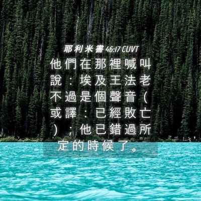 Picture 04 - 耶 利 米 書 46:17 CUVT - 他 們 在 那 裡 喊 叫 說 ： 埃 及 王 - Bible Verse Picture