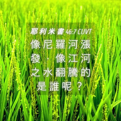 Picture 04 - 耶 利 米 書 46:7 CUVT - 像 尼 羅 河 漲 發 ， 像 江 河 之 水 - Bible Verse Picture